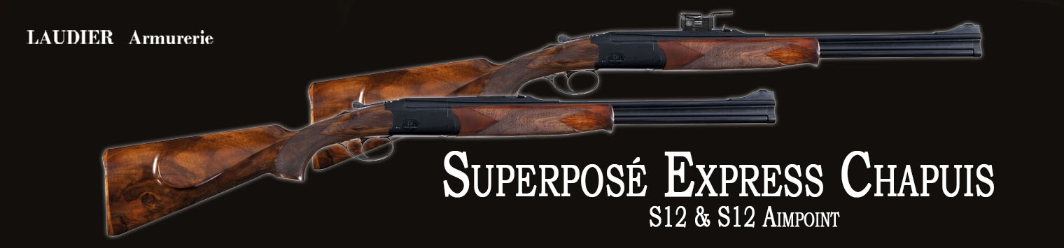 https://www.armurerie-laudier.com/boutique/chasse-ball-trap/armes-de-chasse-a-canon-raye/carabines-de-chasse-double-express/superpose-express-chapuis-s12-aimpoint-9-3x74r/