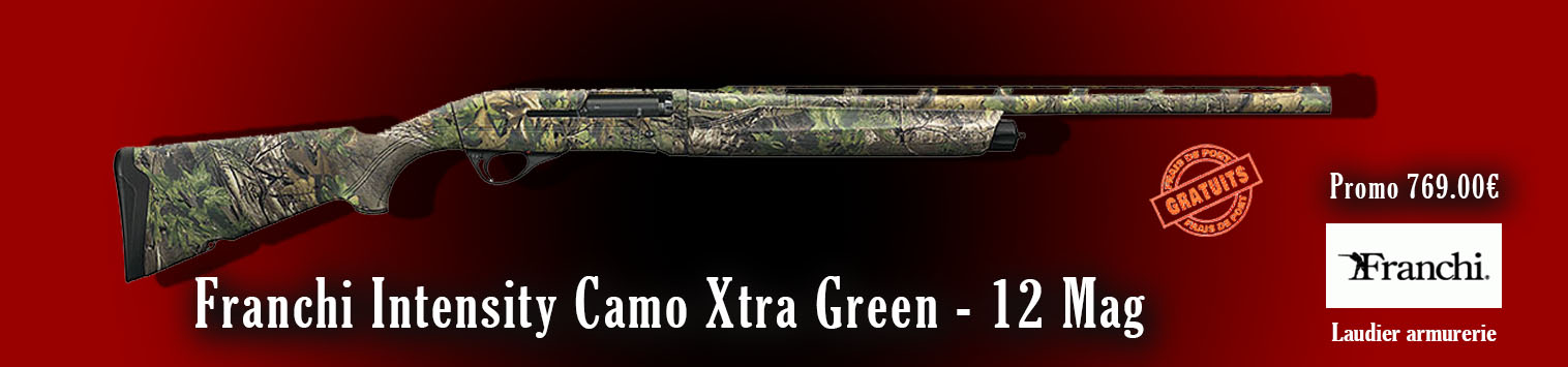 https://www.armurerie-laudier.com/boutique/chasse-ball-trap/chasse-ball-trap-canons-lisses/fusils-de-chasse-semi-auto/franchi-intensity-3-5-camo-12-89/