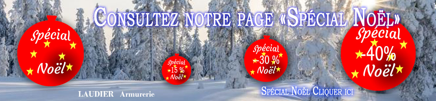 https://www.armurerie-laudier.com/boutique/special-noel/