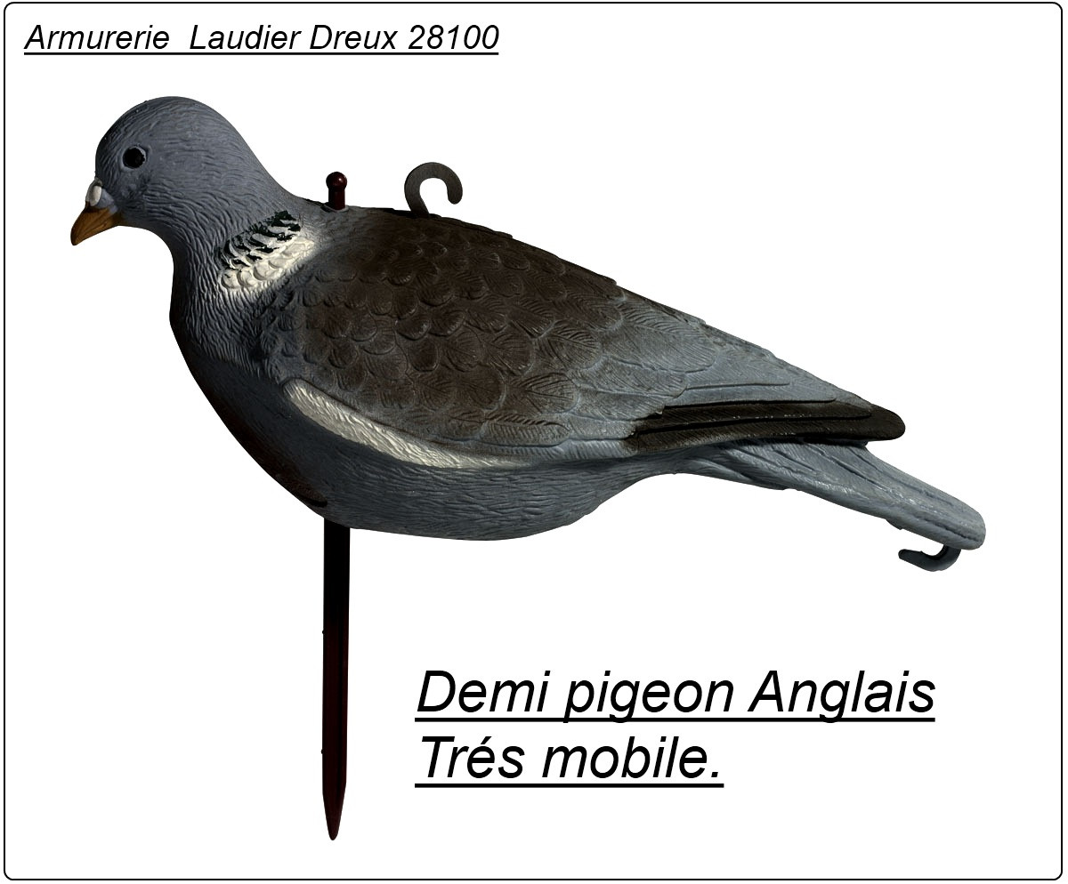 Appelant pigeon Anglais Demie palombe-Ref 19911