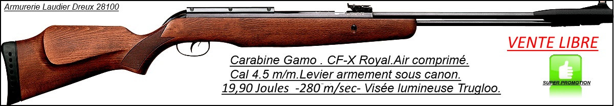 Carabine GAMO  Air comprimé CF X-ROYAL Calibre 4.5mm -19,90 joules - Promotion -Ref 20036