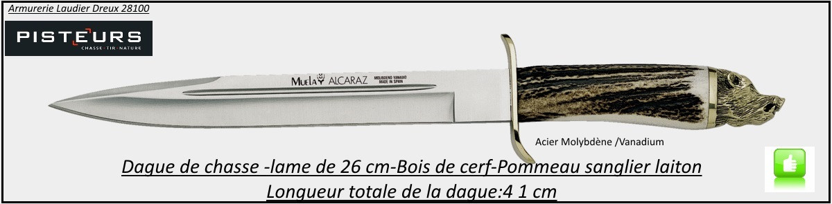 Poignard-Alcaraz-Muela-manche bois-cerf- pommeau-sanglier- laiton- lame fixe 26 cm-acier-molybdène-vanadium-Ref 29288
