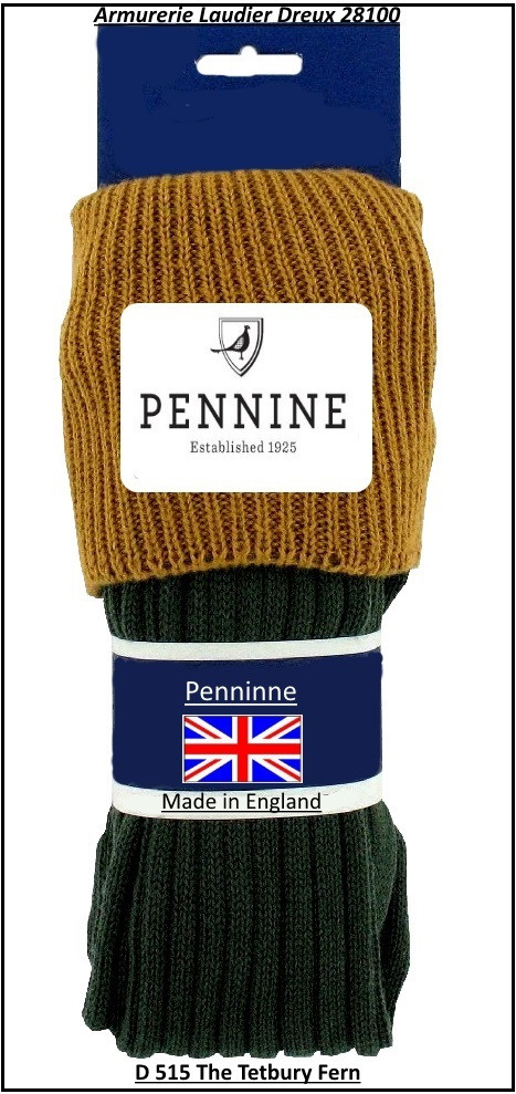 Chaussettes- anglaises- Pennine-Coxmoore-Knicker---D515-The Tetbury Fern-(Vert/ Gold)-Taille L ou M