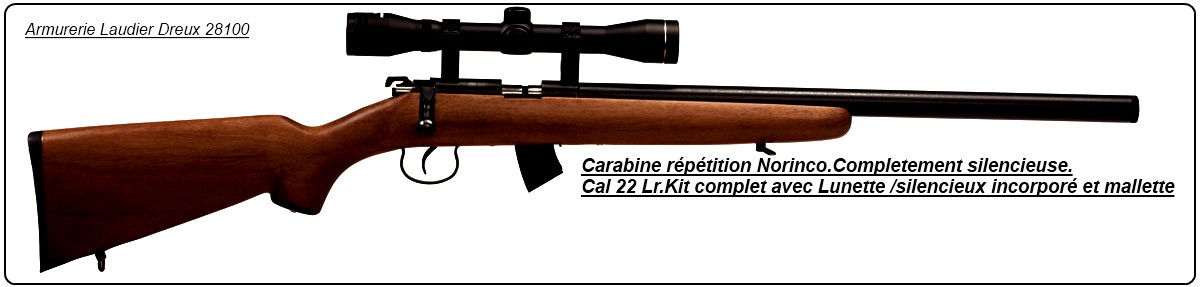 Carabine Norinco Jw15 Custom Silence Calibre 22 Lr Crosse bois Complètement silencieuse -Avec lunette 4 x 32+ mallette-"Promotion".Ref 2918