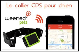 Collier-repérage-Equipé d'une balise GPS-Weenect Pets-NOUVEAUTE- pour animaux-(ou autre)-Monde entier -sur 3 mètres-Ref 25326