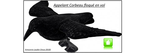 Appelant Corbeau floqué en vol- ref19503