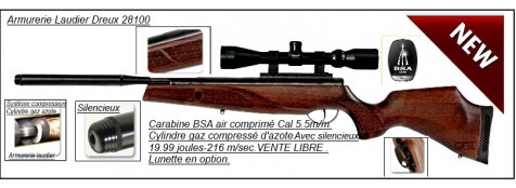Carabine-BSA- GRT-Lightning-XL SE-air comprimé-Cal 5.5mm-Cylindre-gaz azote-compressible -19,99 joules-Promotion -Ref 19618