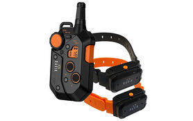 Pack Collier de dressage Ravik 900 2 chiens