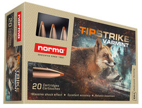 Norma 243 Win Tipstrike